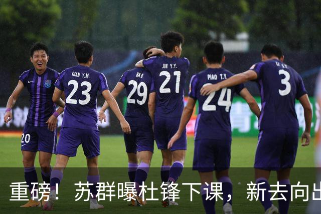 重磅！苏群曝杜锋下课，新去向出炉，球迷喊话杨鸣接手，能行吗？